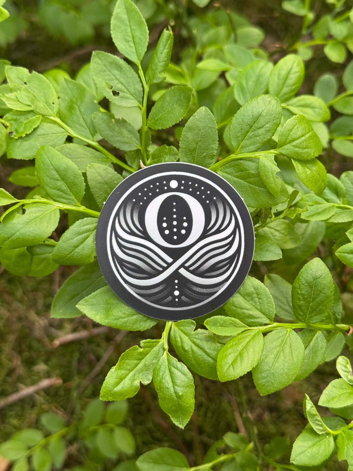 OMEGA WAVES Harmonisierung und Entstörungsaufkleber 999,9 Feinsilber
